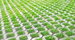 eco-friendly-parking-concrete-cells-turf-grass-38839609